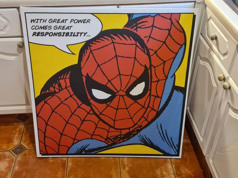 Spiderman Print