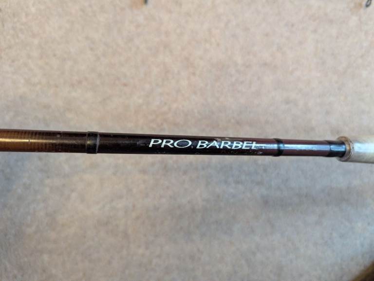 Pro Barbel PB-Z2134 Twin Tip 12ft fishing rod