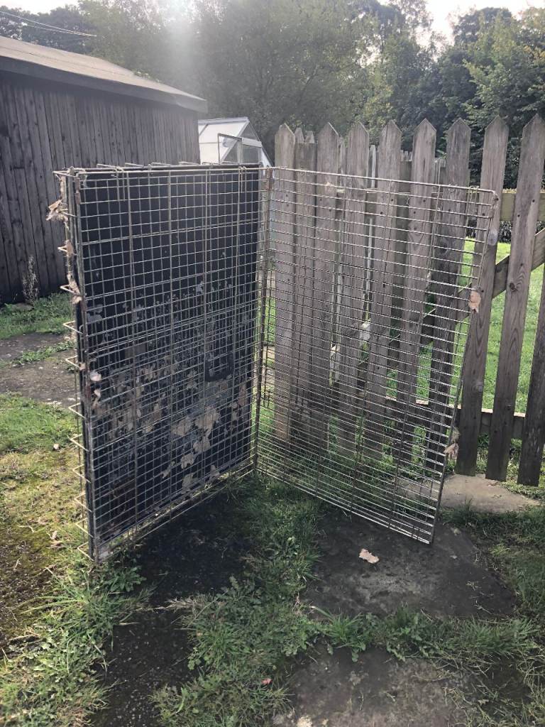 Free, 3 Dog Cages