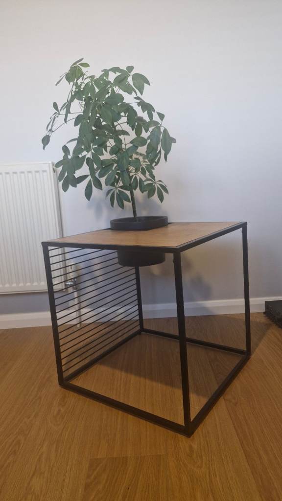 NEXT side table with plant pot