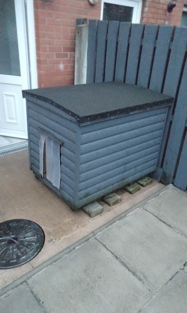 Large dog box 