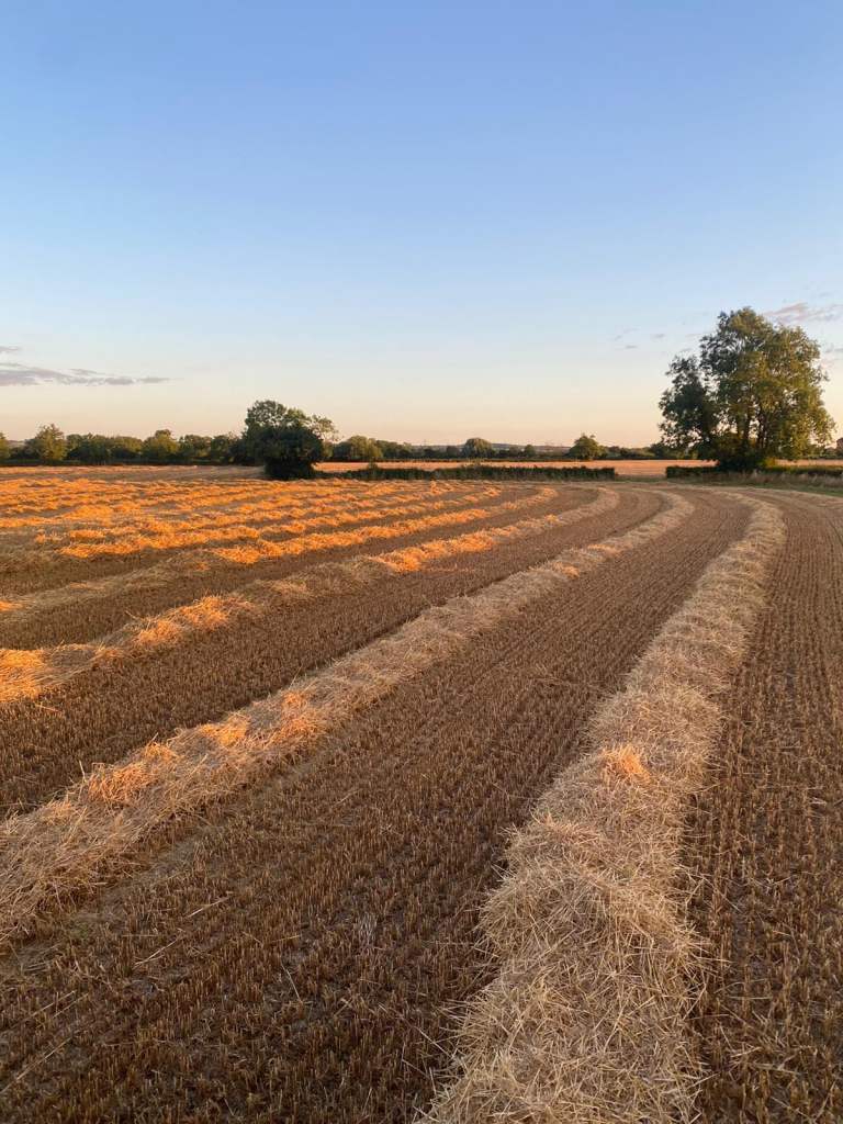 Quality Straw & Hay!!