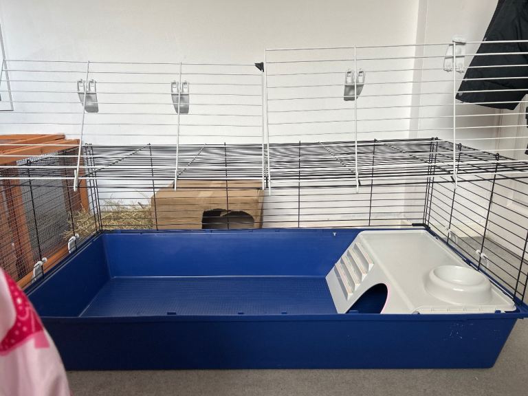 large guinea pig cage