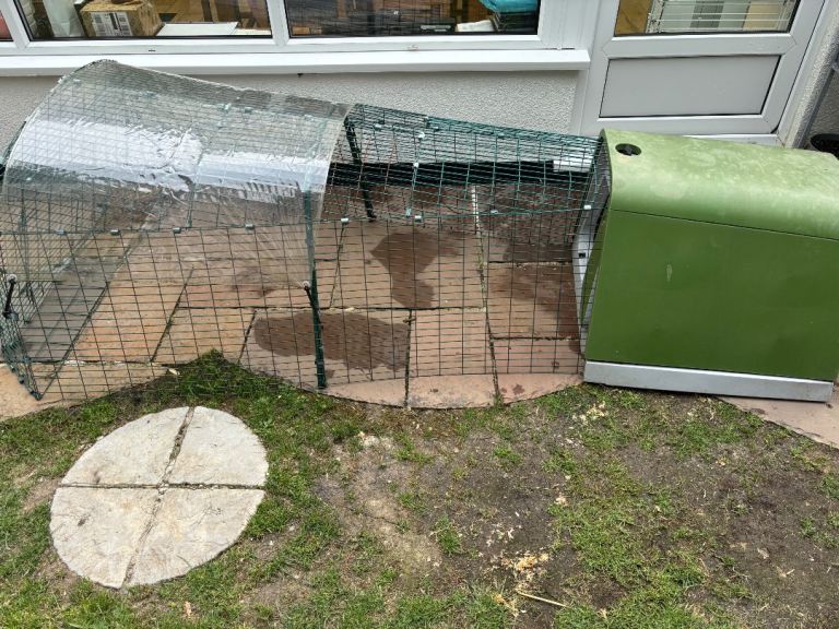 Eglu rabbit house and run