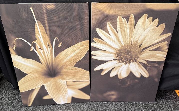 Canvas Prints / Wall Art x2 (70 x 100cm)