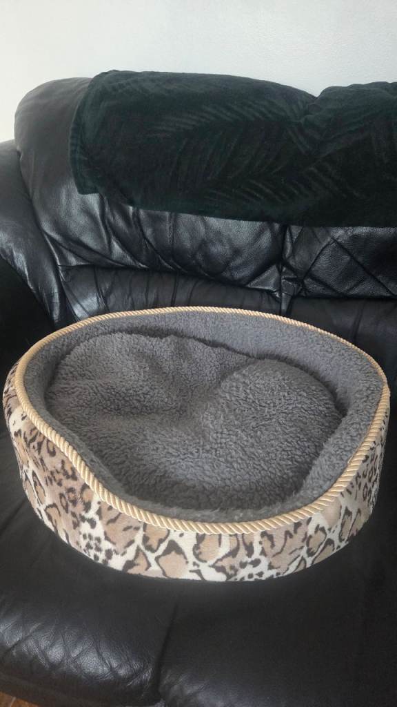 Pet bed