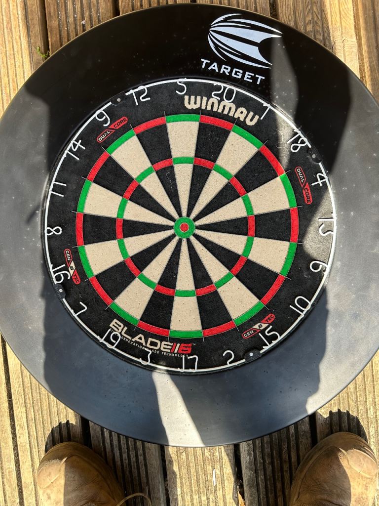 Dart board and surround 