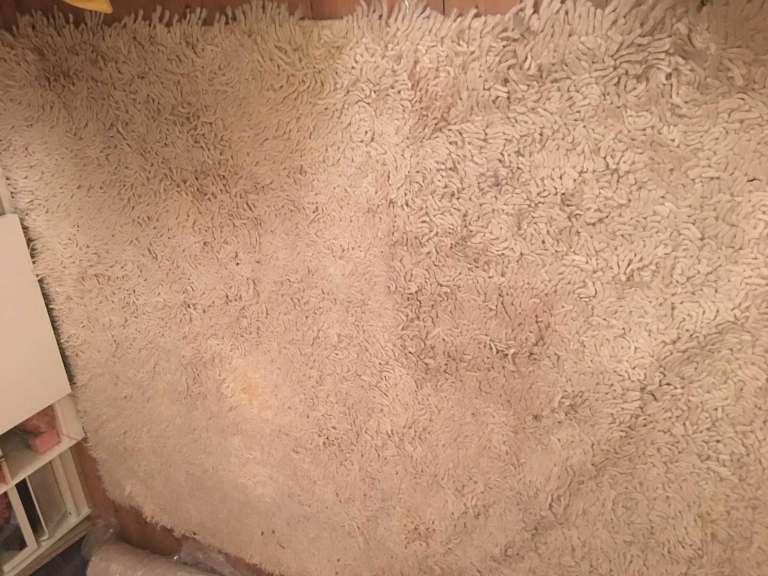 Free Habitat Long Pile shaggy Cream Rug 240 x 180