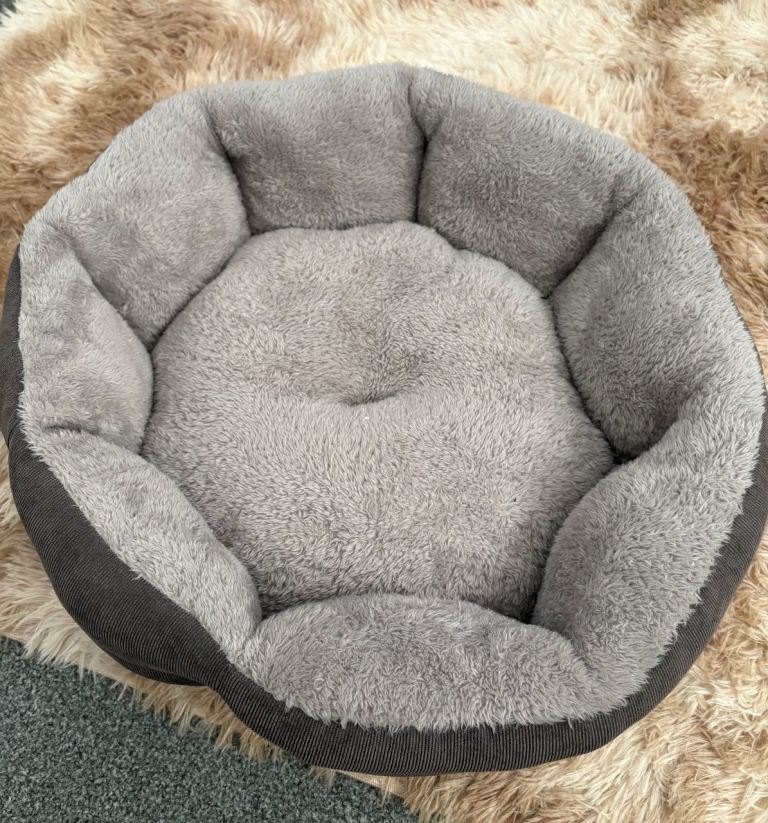 Cat/ small dog bed 