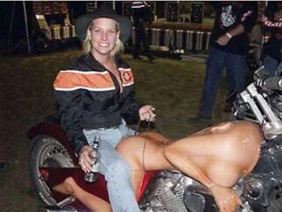 project,non runner,neglected or similar,any cc considered