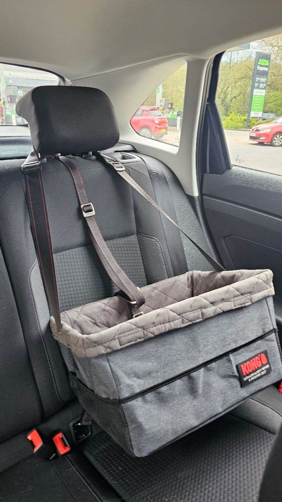 Kong dog car carrier