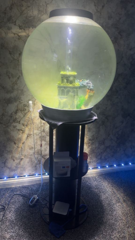 Fish tank for sale reasonable offers will be accepted 