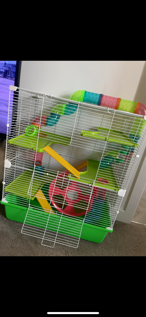 Hamster cage 