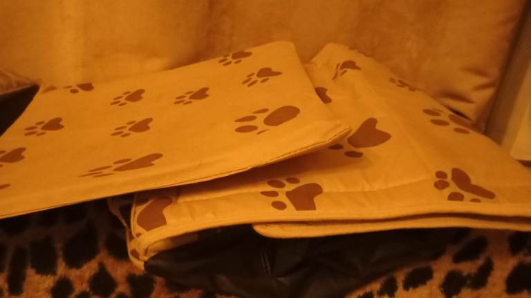 Folding pet bed new £5 suit cat or tiny puppy £5