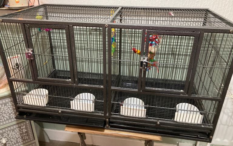 Large double bird cage with divider