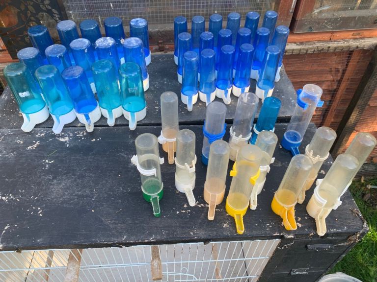 Bird Water Feeders / Drinkers - Various Colours, Good Condition