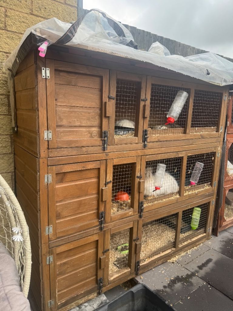 3 tier hutch 