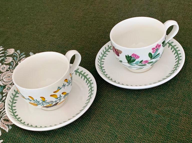 Pair of Port Meirion Tea Cups