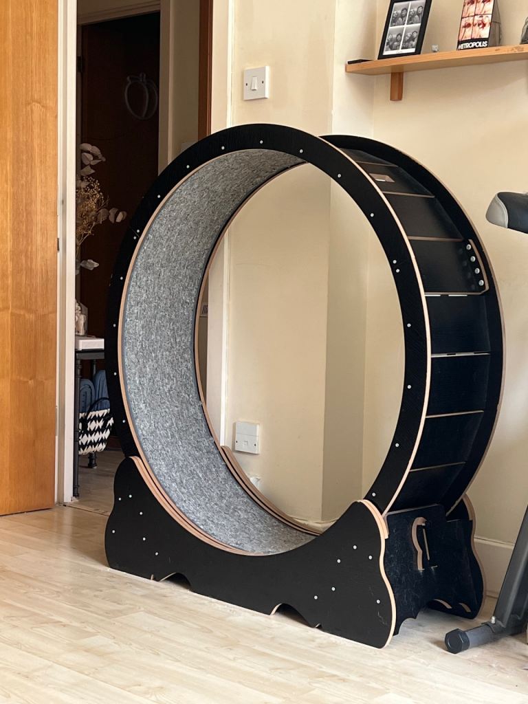 Cat exercise wheel