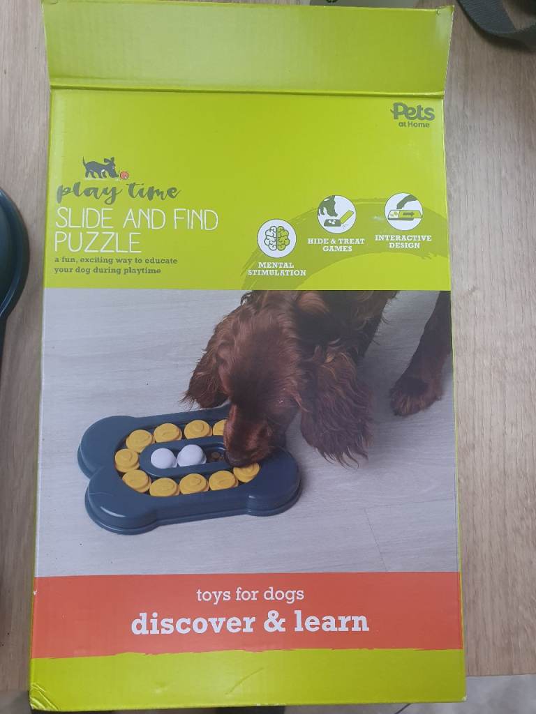 Dog discover and learn toy