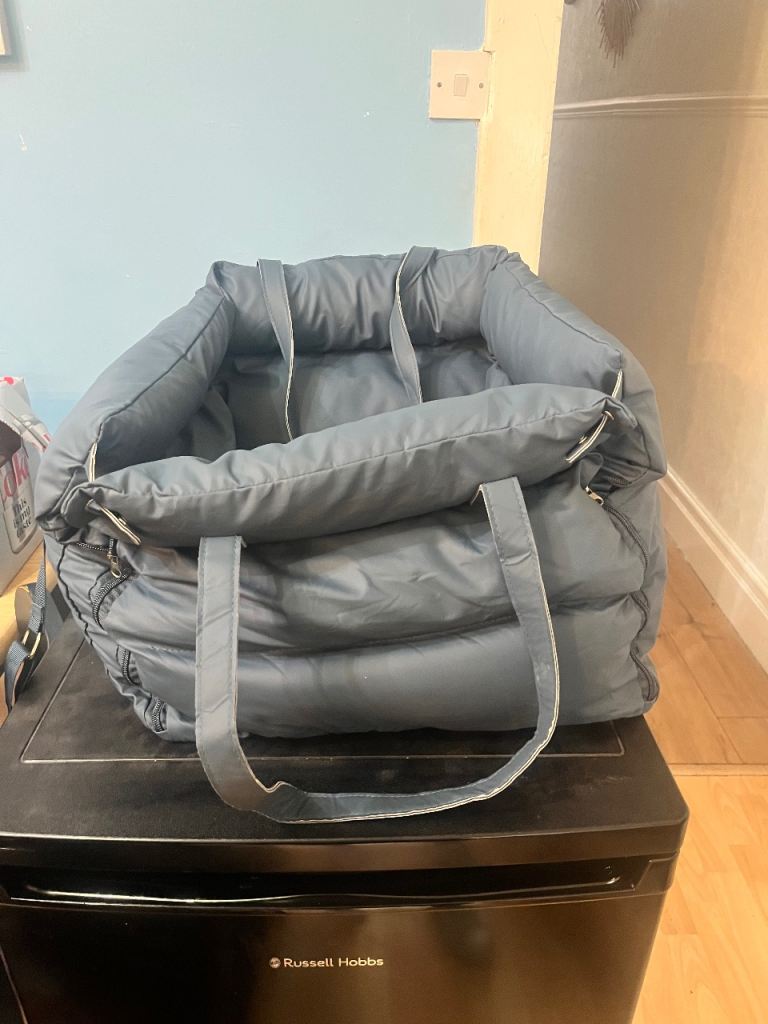 Pet car seat
