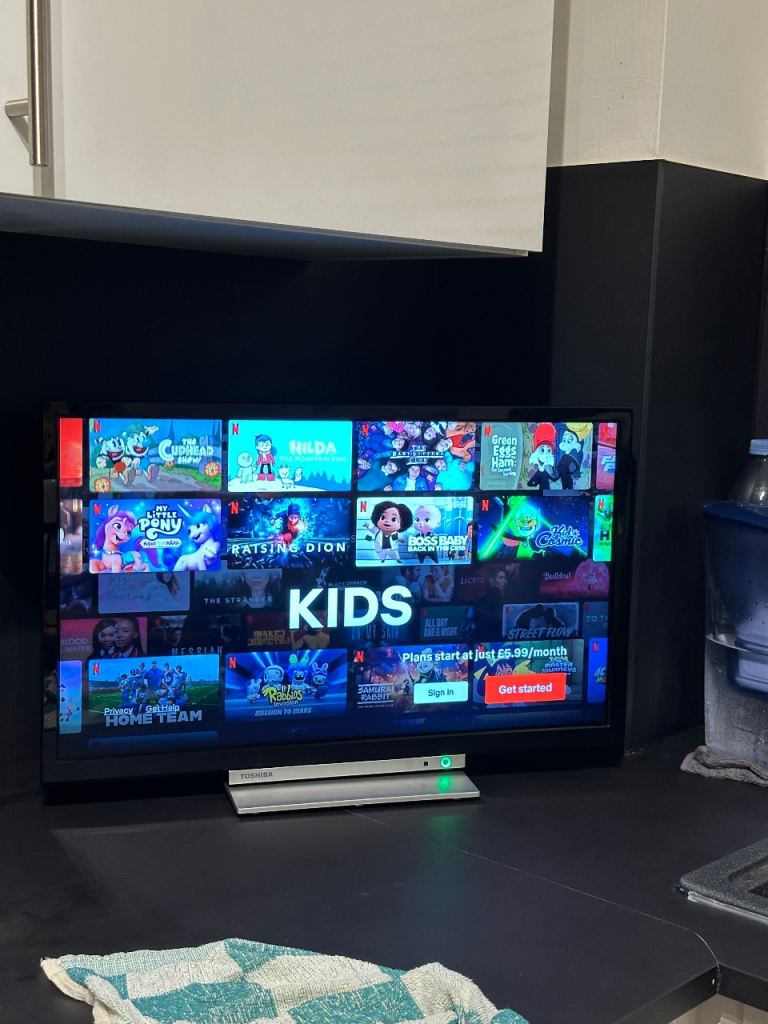 Toshiba 24 inch smart TV 