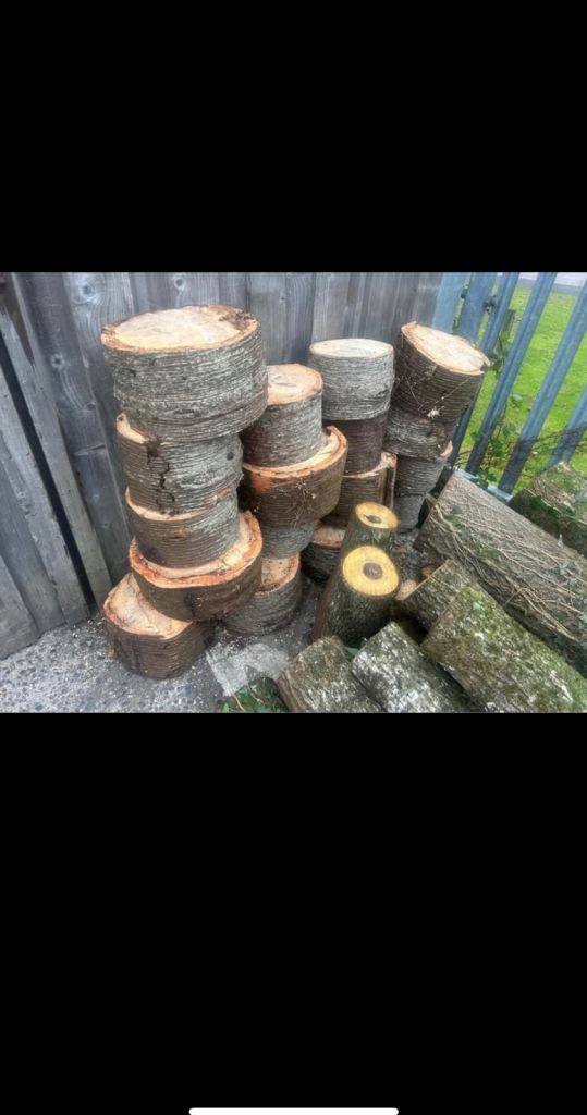 Some large/small yew boards for sale varying prices, aswell as beautifull chunks of monkey puzzle!