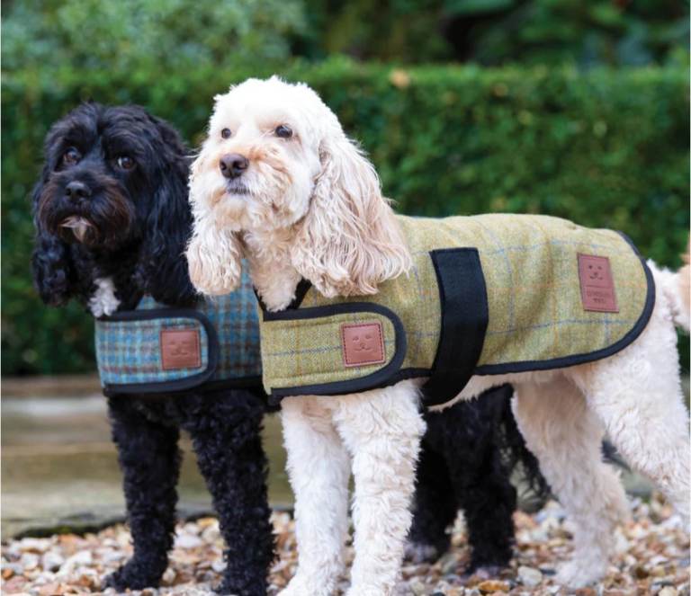 Dog Coat Herringbone Green Ginger Ted New 