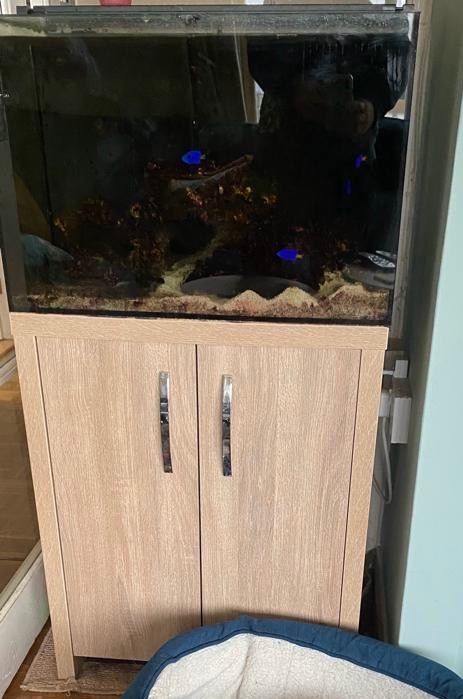 96 Litre Marine fish tank and cupboard (No fish or lights)