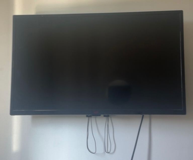 Bush tv