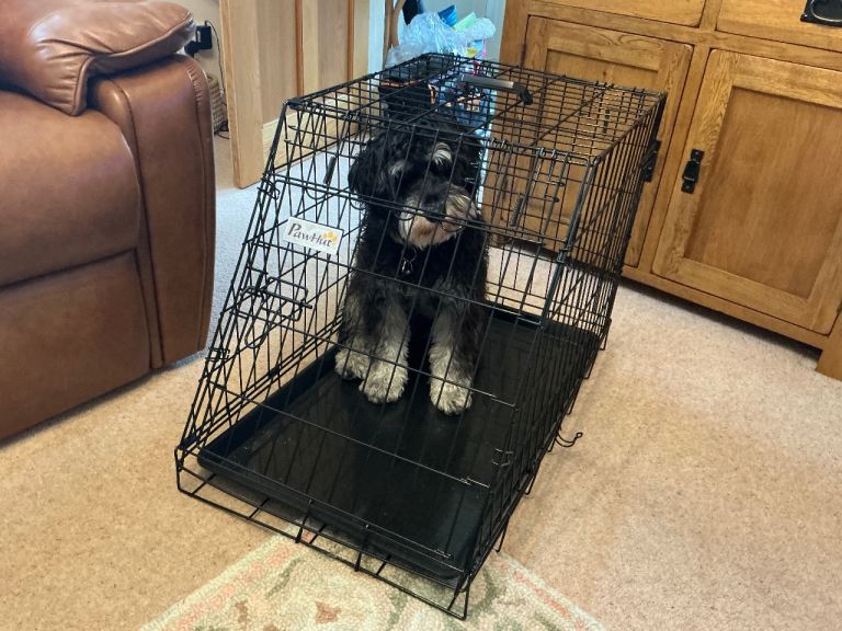 PAWHUT Dog Crate for Car or Home