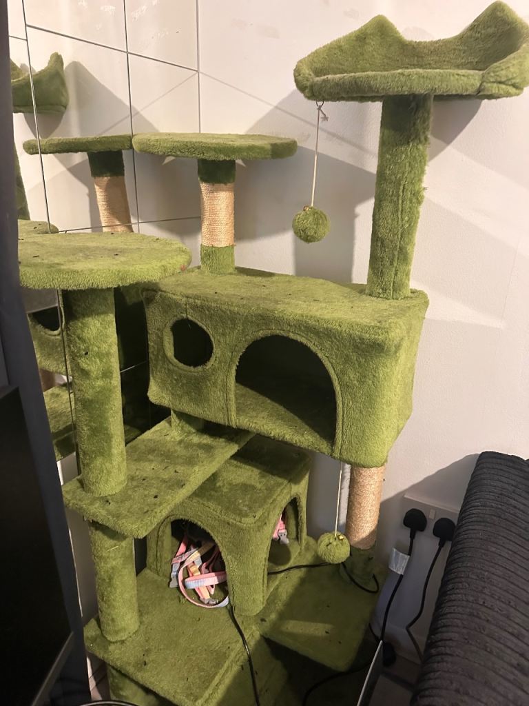 Green cat tree