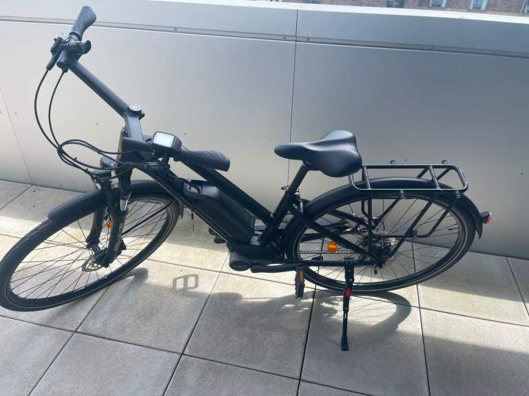 Bosch Moustache electric bicycle 