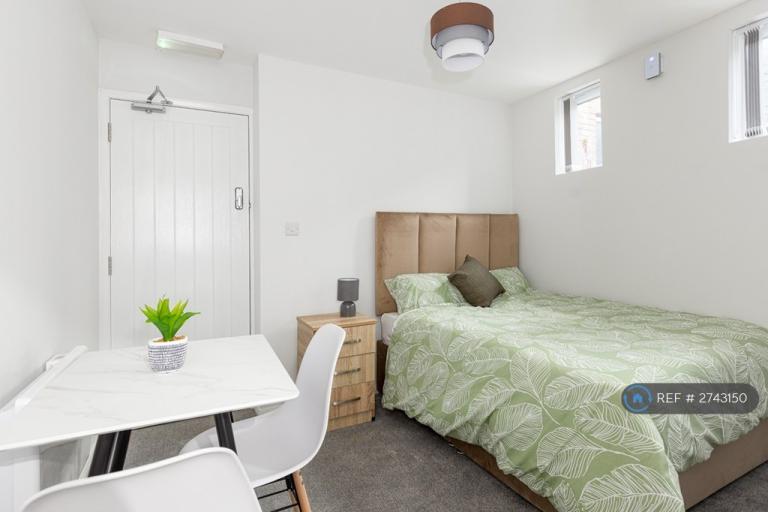 Studio flat in Lincoln Street, Leicester, LE2 (#2743150)