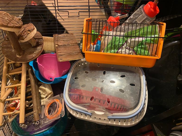 Misc hamster/gerbil bits 