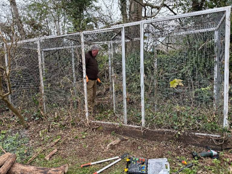 parrot aviary for sale