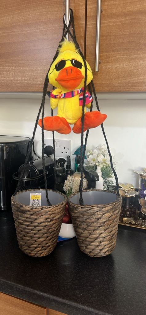 X2 Hanging Basket ikea plant pot hanger