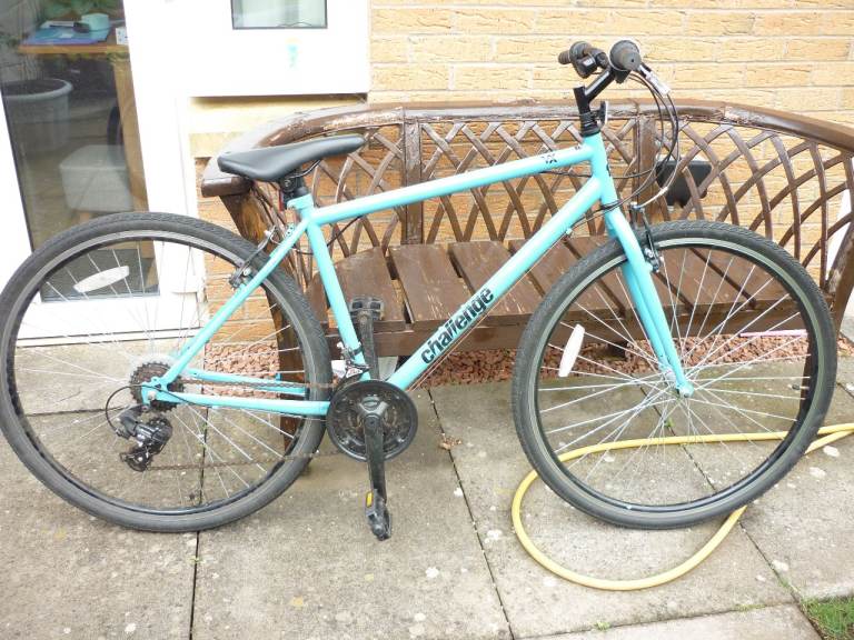 Challenge Adult Bike