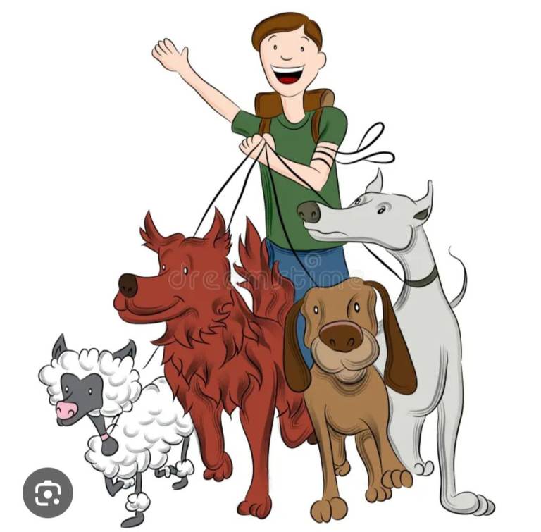 Dog walking service wirral