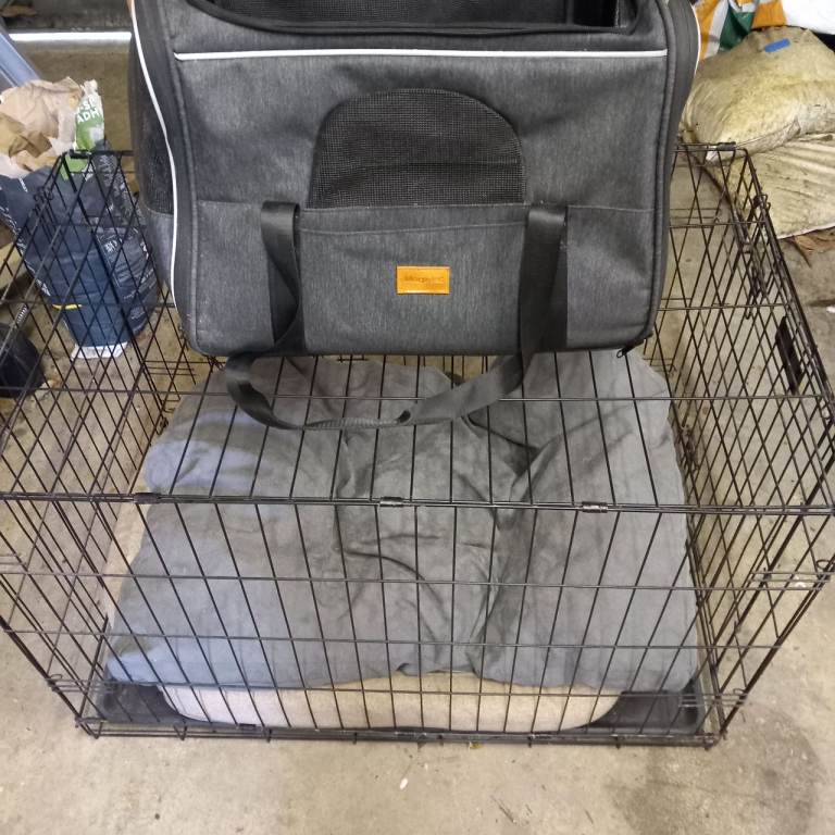 Dog crate and travel bag
