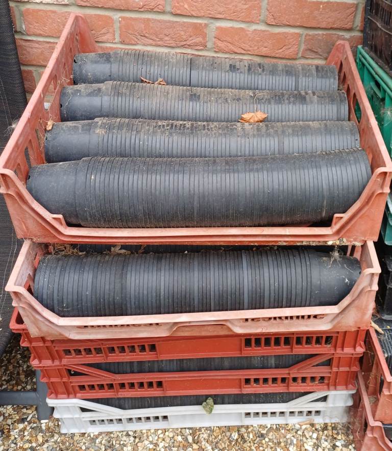 Hundreds of FREE