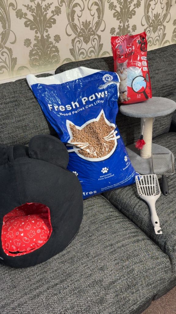 Cat Kitten Care Bundle Equipment Toys