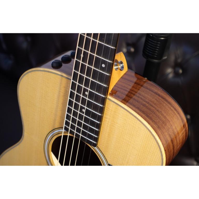 WANTED TAYLOR MINI GS ROSEWOOD PLUS 