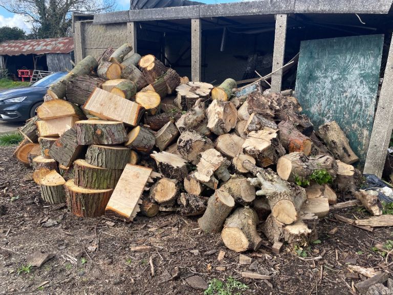 Logs for sale
