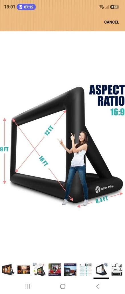 Inflateable projector screen