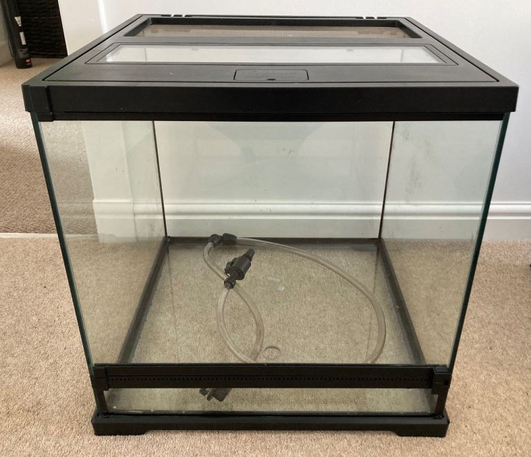 Exo Terra Dart frog terrarium 
