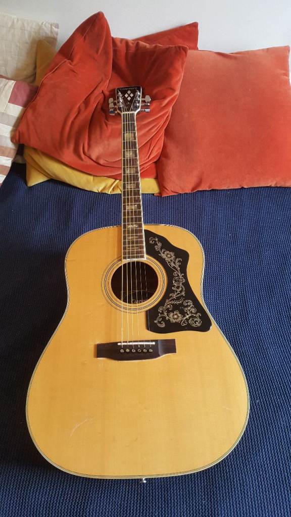 Giannini Acoustic Guitar AWS 760  1977 -The  'Rita May' model-£225