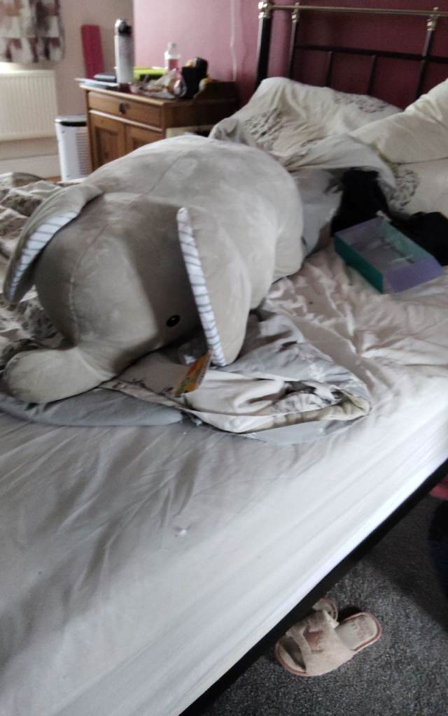 Large Elephant Soft Toy