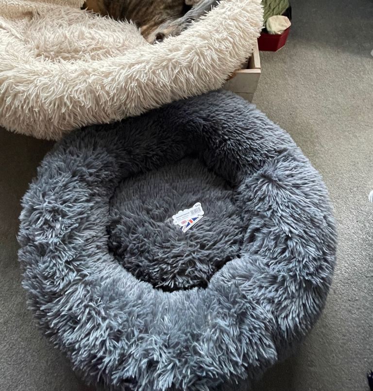 Dog bed