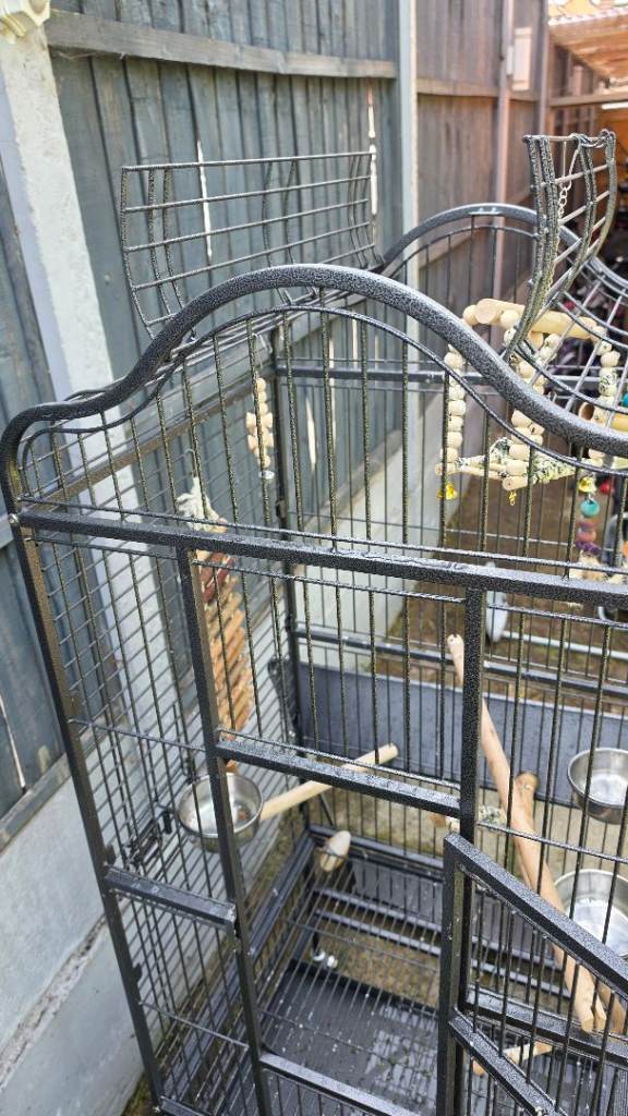 Bird cage